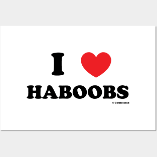 I Love Haboobs! Posters and Art